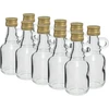 Бутылочка Galonik, 40 мл, с крышкой, 10 шт  - 1 ['Галлоник', ' бутылка галлоника', ' бутылка ликера', ' бутылка ликера', ' нагрудный знак бутылки ликера']