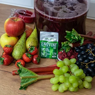 Дрожжи винные сухие Enovini WS, для столовых вин 7 г – photo 3
