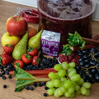 Дрожжи винные сухие Fermivin, 7 г – photo 4