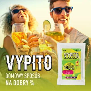 VYPITO 12%, пакет на 18 напитков - Лимон и лайм, 126 г – photo 6