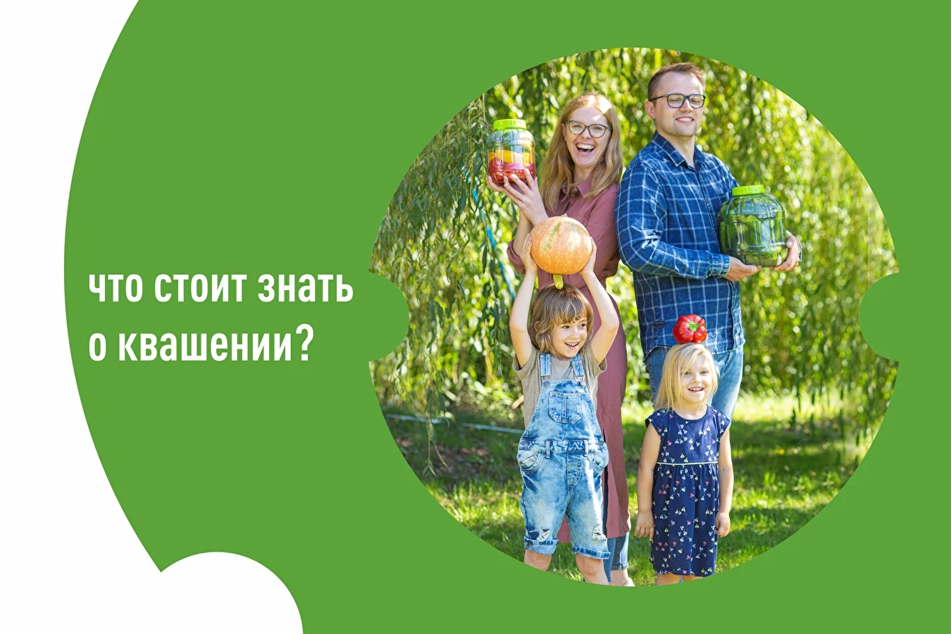 Квашеные овощи и не только – что стоит знать о квашении?