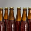 Бутылка для пива 0,5 л - картонная упаковка 12 шт. - 7 ['пивные бутылки', ' укупорочная бутылка', ' бутылка для сидра', ' бутылка 0', '5 л', ' бутылка 500 мл', ' коричневая стеклянная бутылка', ' пивная бутылка']