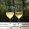 Кларовин - oсветлитель белых и розовых вин, 10 г - 4 ['средство для осветления вина', ' осветлитель', ' осветлитель klarowin для вина', ' для осветления вина', ' аксессуары для виноделия', ' домашнее вино ']