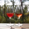Кларовин - oсветлитель белых и розовых вин, 10 г - 5 ['средство для осветления вина', ' осветлитель', ' осветлитель klarowin для вина', ' для осветления вина', ' аксессуары для виноделия', ' домашнее вино ']