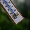 Комнатный термометр с белой шкалой (-30°C до +50°C) 20см - 4 ['внутренний термометр', ' комнатный термометр', ' термометр для помещений', ' домашний термометр', ' термометр', ' деревянный комнатный термометр', ' термометр с читабельной шкалой', ' термометр с двойной шкалой']