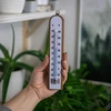 Комнатный термометр с белой шкалой (-30°C до +50°C) 20см - 3 ['внутренний термометр', ' комнатный термометр', ' термометр для помещений', ' домашний термометр', ' термометр', ' деревянный комнатный термометр', ' термометр с читабельной шкалой', ' термометр с двойной шкалой']