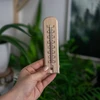 Комнатный термометр с рисунком (-20°C до +50°C) 15см - 4 ['универсальный термометр', ' комнатный термометр', ' деревянный термометр', ' термометр', ' термометр с четкой шкалой', ' комнатный термометр', ' термометр для подвешивания']