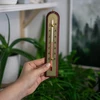 Комнатный термометр с золотой шкалой (-10°C до +50°C) 22см, микс - 3 ['внутренний термометр', ' комнатный термометр', ' термометр для помещений', ' домашний термометр', ' термометр', ' деревянный комнатный термометр', ' термометр с читабельной шкалой', ' термометр с серебристой шкалой', ' термометр для подвешивания', ' традиционный термометр']