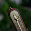 Комнатный термометр с золотой шкалой (-10°C до +50°C) 22см, микс - 4 ['внутренний термометр', ' комнатный термометр', ' термометр для помещений', ' домашний термометр', ' термометр', ' деревянный комнатный термометр', ' термометр с читабельной шкалой', ' термометр с серебристой шкалой', ' термометр для подвешивания', ' традиционный термометр']