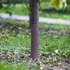 Ограждение для саженцев деревьев - спираль, Ø3,5 x 60см, 2 шт - 2 