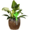Ороситель для растений - листовой зеленый с керамическим колышком, 120 м - 6 ['ирригатор для растений', ' ирригатор', ' ирригатор в форме листа', ' оригинальный ирригатор', ' защита растений', ' уход за растениями', ' ирригатор для цветов', ' ирригатор лист', ' ирригационные шары', ' ирригационный шар', ' дизайнерский ирригатор', ' как ухаживать за растениями', ' красивые аксессуары для дома', ' дизайнерские лейки', ' уникальные лейки', ' универсальная лейка', ' керамическая ножка', ' керамическая лейка', ' лейка с керамической ножкой', ' лейка для маленьких растений и комнатных цветов']