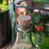 Пробка натуральная, коническая,  агломерированная Ø37/45 мм, 5 шт. - 3 ['корковая пробка', ' винная пробка', ' пробка для бутылок', ' затычка для вина', ' винные бутылки с пробками']