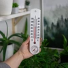 Универсальный белый термометр с гигрометром (-20°C до +50°C) 25см - 3 ['внутренний термометр', ' комнатный термометр', ' термометр для помещений', ' домашний термометр', ' термометр', ' комнатный термометр', ' термометр с читабельной шкалой', ' термометр с гигрометром', ' пластиковый термометр', ' термометр с гигрометром']