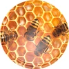 Завинчивающаяся крышка Ø66 «пчелиные соты» - 10 шт.  - 1 ['крышка', ' крышки', ' крышки для меда', ' крышки для меда', ' крышки для банок', ' банки для меда', ' ø66', ' хранение меда', ' мед с домашней пасеки', ' крышки с рисунком для меда', ' пчелиные соты', ' медовые соты']