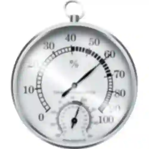 Термометр/гигрометр (серебряные)